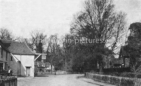 The Village, Gosfield, Essex. c.1904